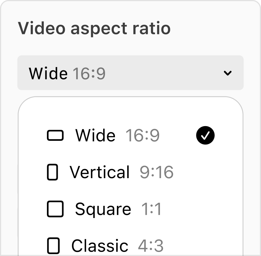 Video aspect ratio selector